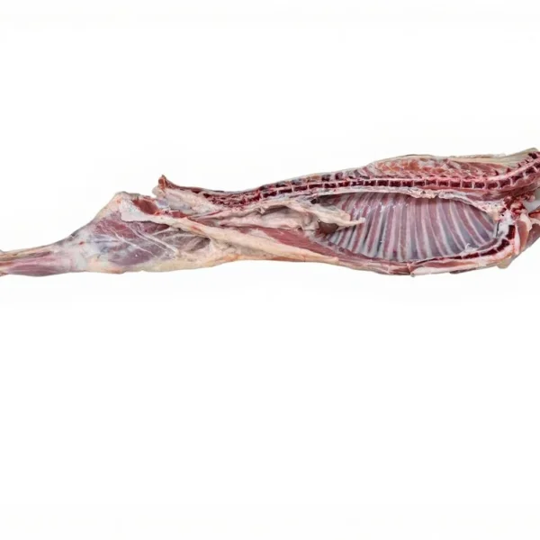 Αρνάκι Γάλακτος 1/2