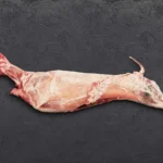 Κατσικάκι Γάλακτος Ολόκληρο